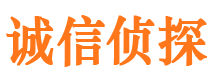 边坝诚信私家侦探公司